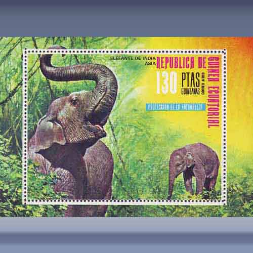 Aziatische olifant - Klik op de afbeelding om het venster te sluiten